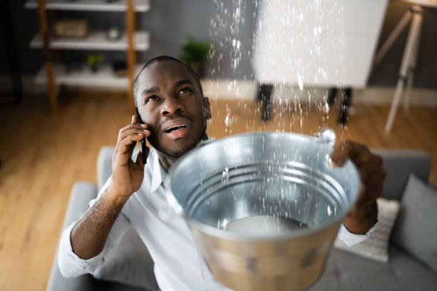 Best Residential water damage restoration  in Carrollton, KY