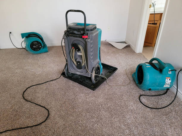 Best Water damage restoration near me  in Carrollton, KY