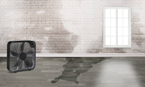 Best Emergency water damage restoration  in Carrollton, KY