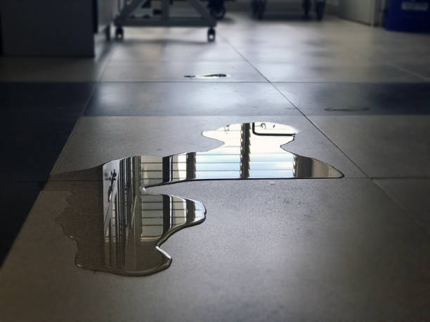 Best Commercial water damage restoration  in Carrollton, KY