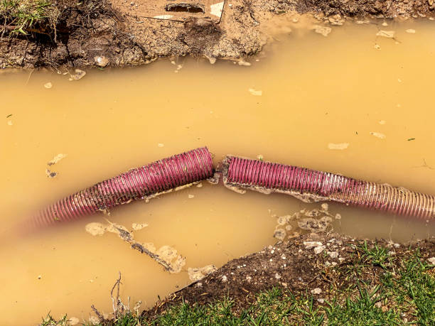 Best Water damage restoration insurance claims  in Carrollton, KY