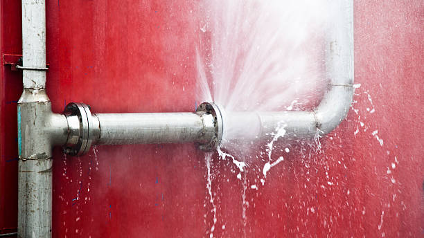 Best Sewage cleanup and water damage restoration  in Carrollton, KY