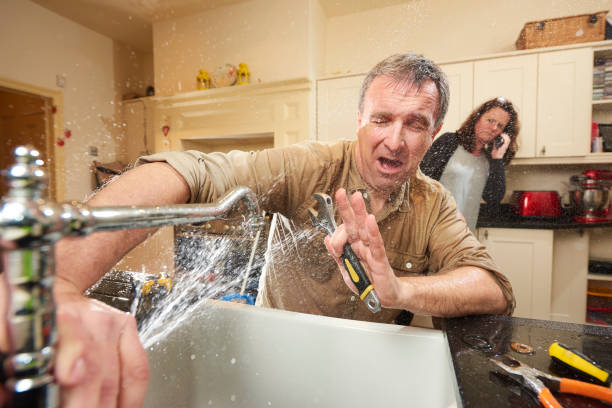 Best Basement water damage restoration  in Carrollton, KY